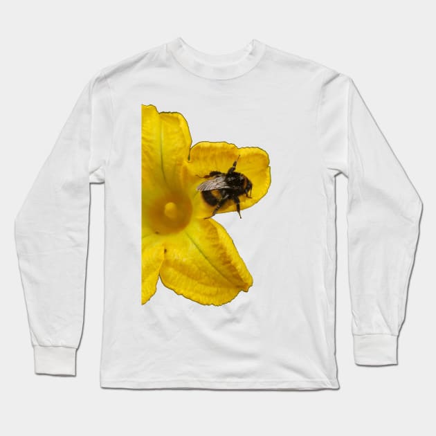 Bumble Bee on Yellow Flower Long Sleeve T-Shirt by RFMDesigns